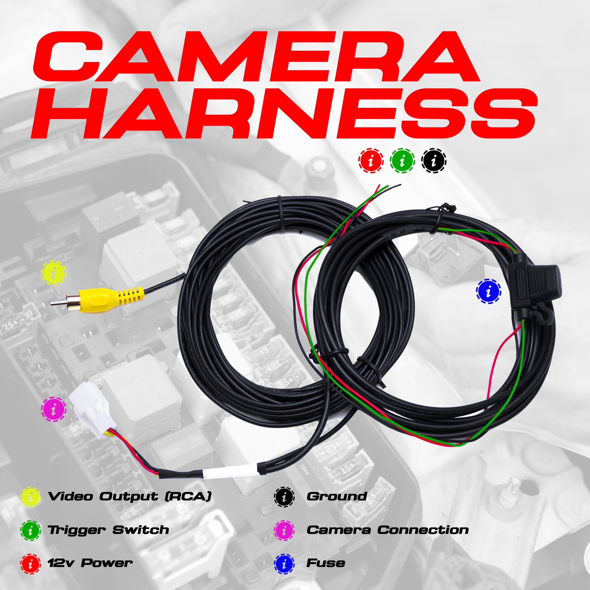 Gm Service Guy