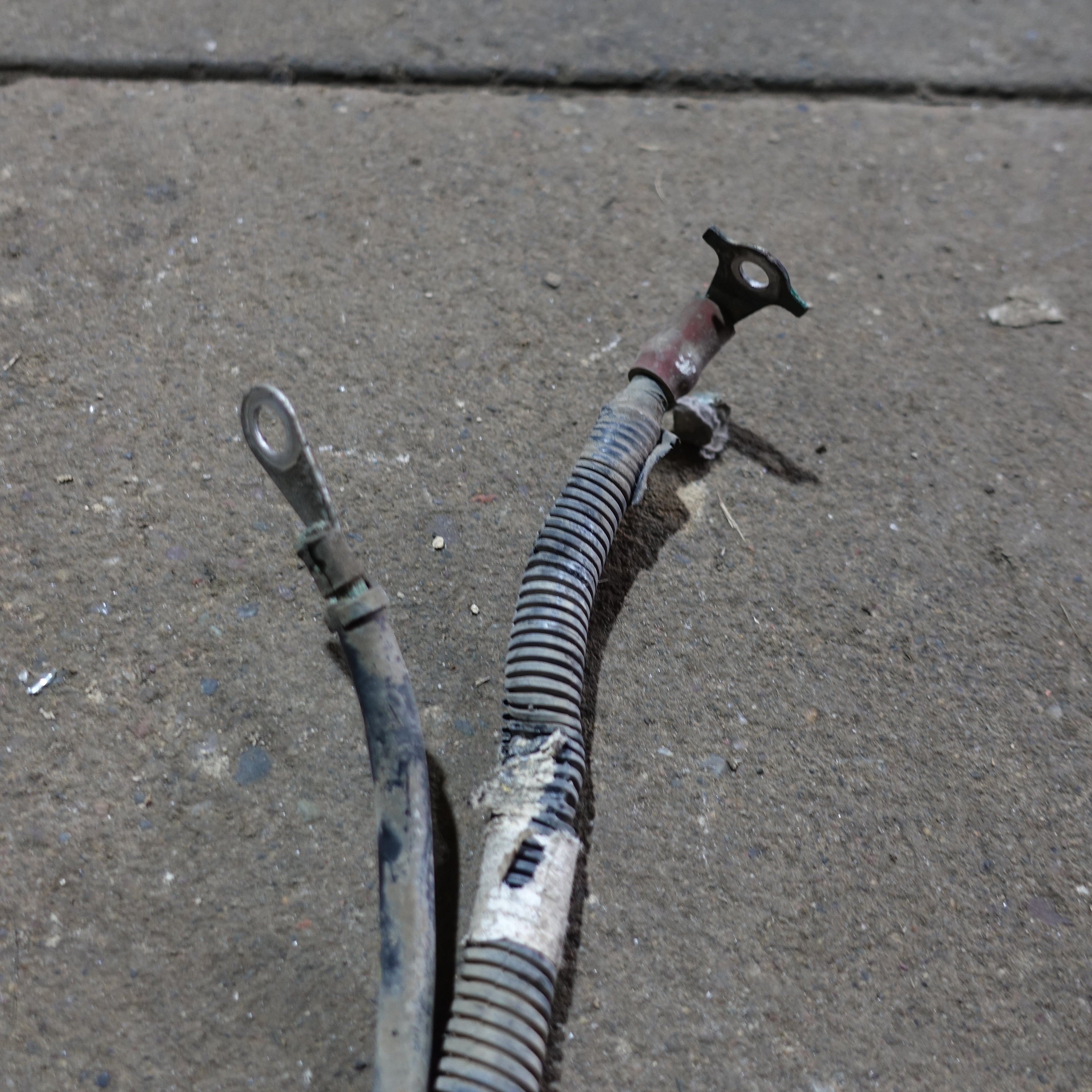 Gm Service Guy